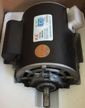 Kiddie Motor